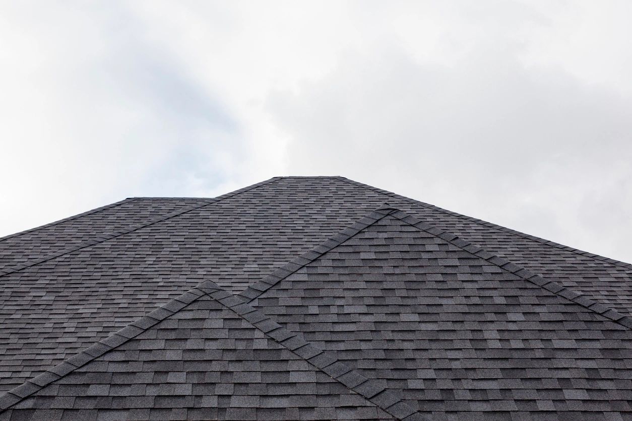 Shingle Roof
